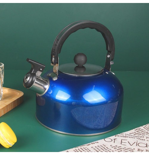 BMA factory wholesale whistle kettle paint blue red silver green stainless steel water kettle BMA factory wholesale whistle kettle paint blue red silver green stainless steel water kettle