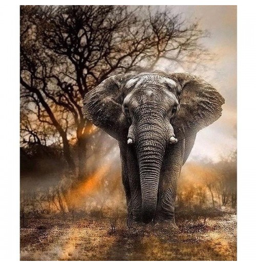 Customized Elephant Popular 5d Diamond painting Kits Diamond At Kits Craft Art Embroidery painting On Canvas Customized Elephant Popular 5d Diamond painting Kits Diamond At Kits Craft Art Embroidery painting On Canvas